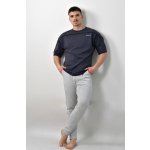 Fitness pánské triko NIIN BodyGym