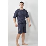 Fitness pánské triko NIIN BodyGym